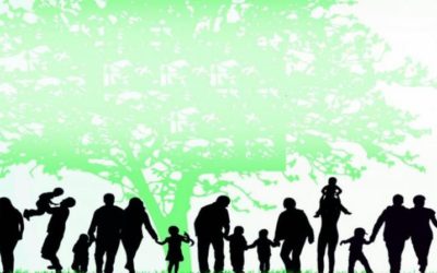 Human Development and Family Studies