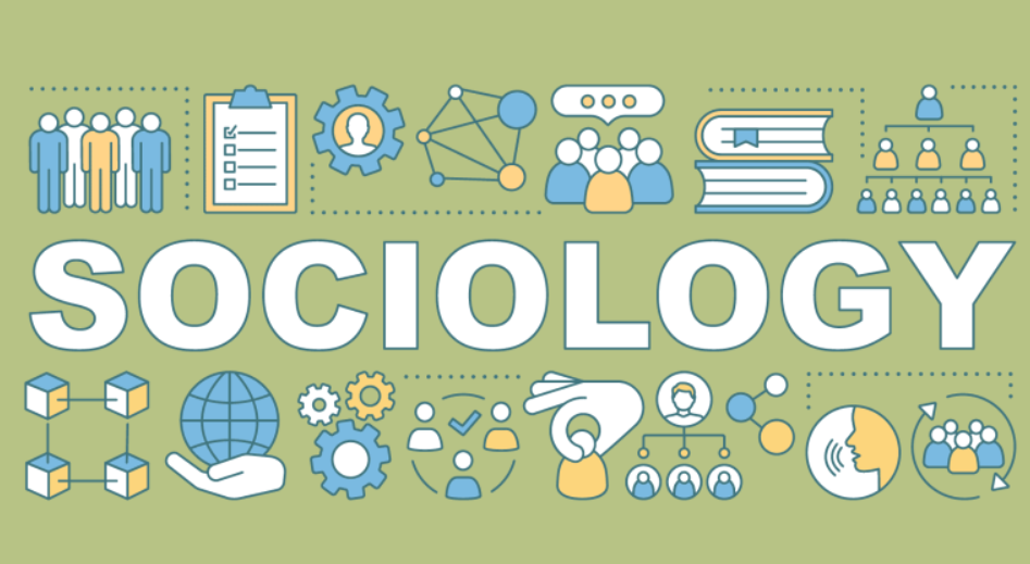 sociolgy